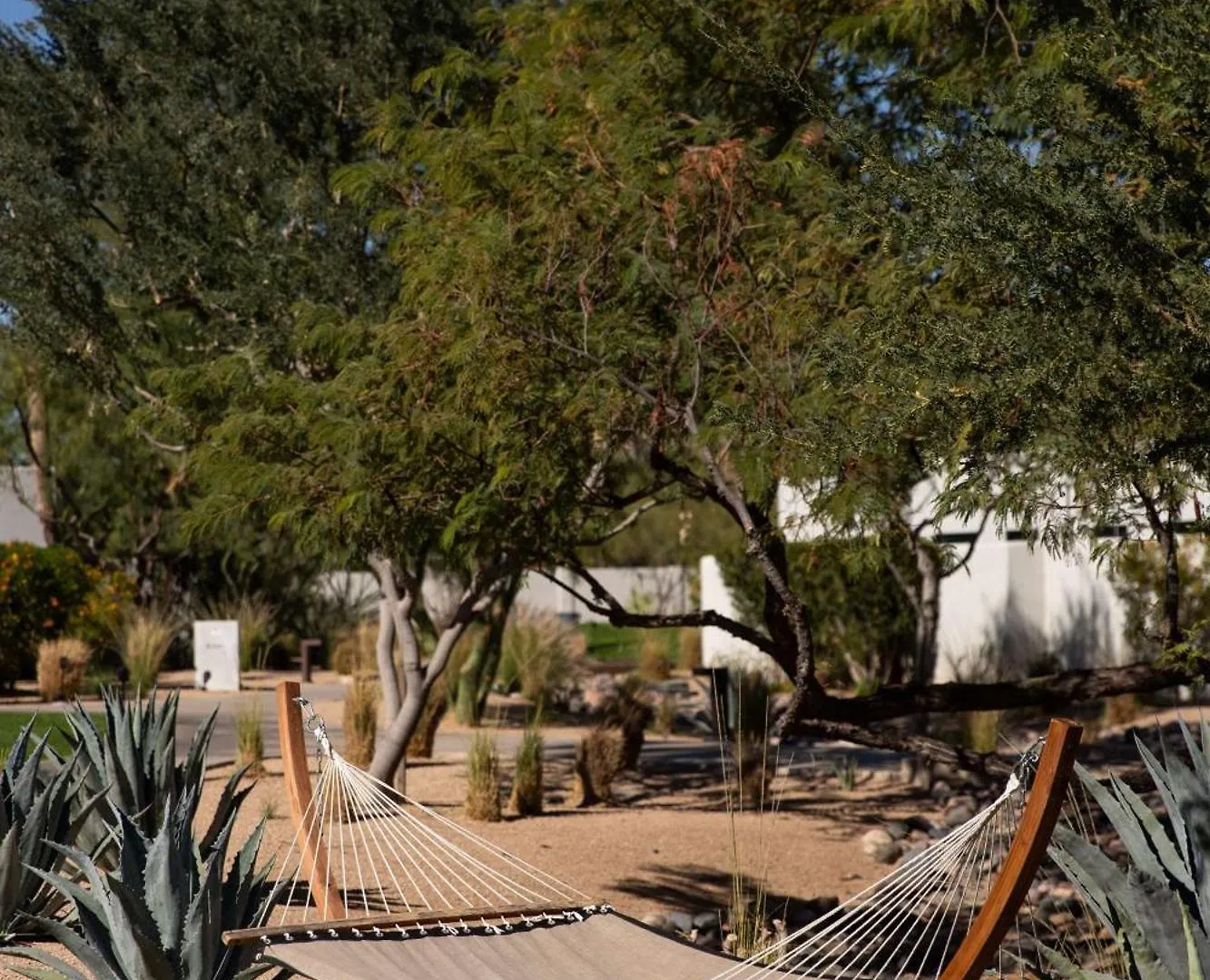 Andaz Scottsdale Resort & Bungalows